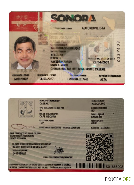 Mexico Sonora state driving license